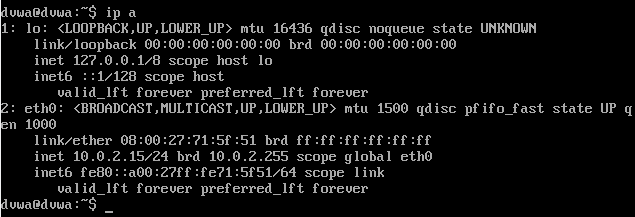 Step Seven - Checking DVWA IP