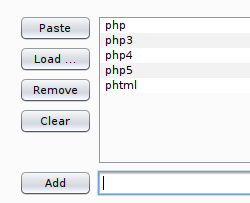 Enter the extensions into the payloads list