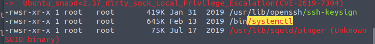 Linpeas scrip found that systemctl can be used for priilege esc