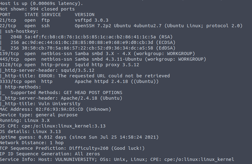 Results of the nmap scan on Vulnversity host