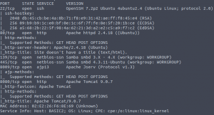 TryHackMe Basic Pentesting Walkthrough - Bug Hacking