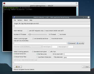 How to Install DirBuster on Ubuntu? - Bug Hacking