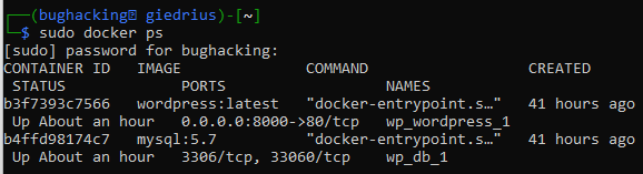 Now the Docker works on Kali Linux