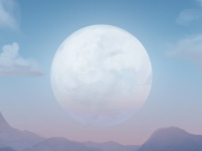 Pale Moon browser