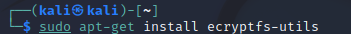 Installing the ecryptfs-utils package